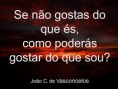 /album/galeria-de-fotos-vidaviva/a004e-jpg/